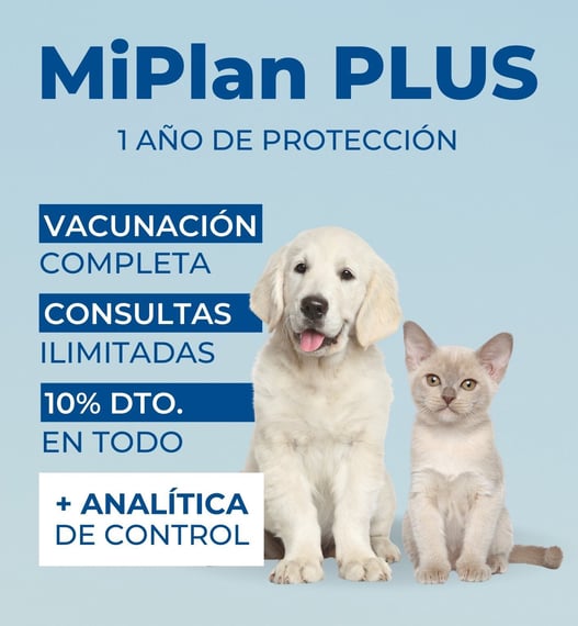 MiPlan analítica