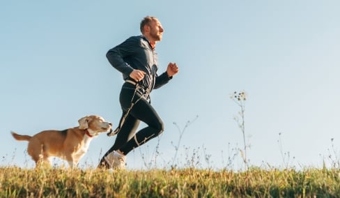 Beneficios del deporte para perros en un parque canino