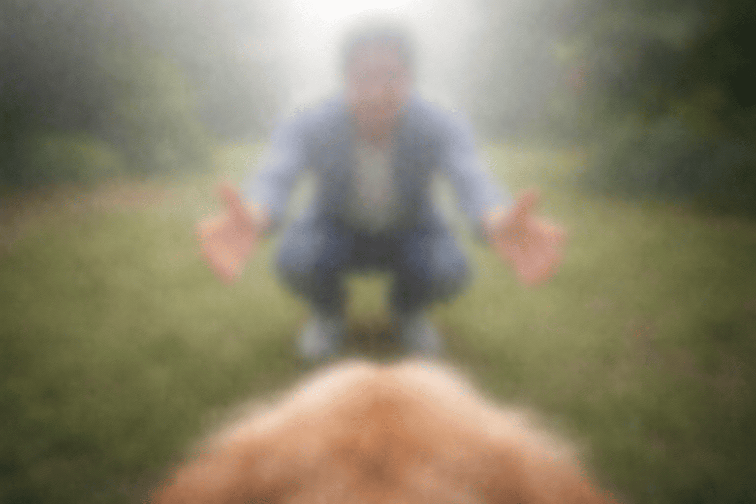 como ve un perro con cataratas