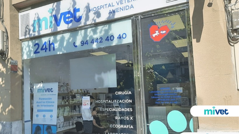 Hospital Veterinario Avenida