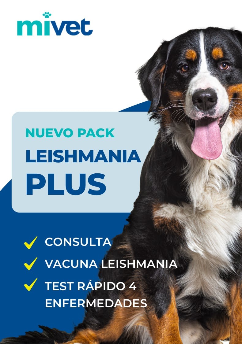 Pack Leishmania