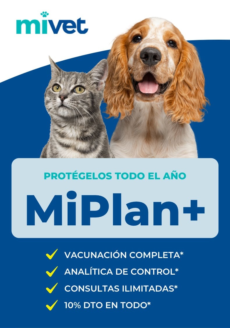 MiPlan Plus