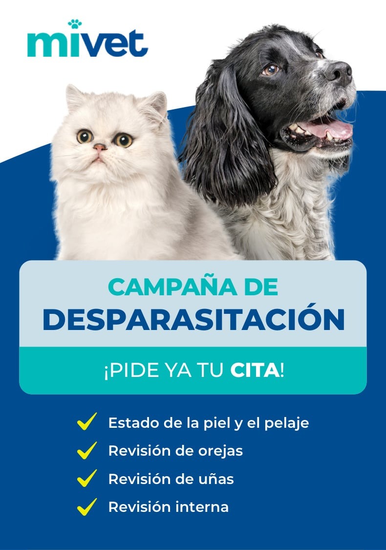 Campaña Desparasitación