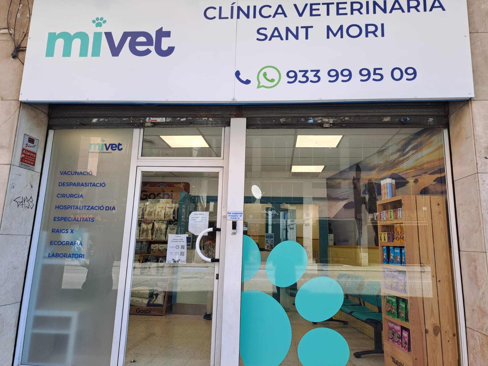 Veterinari Sant Mori