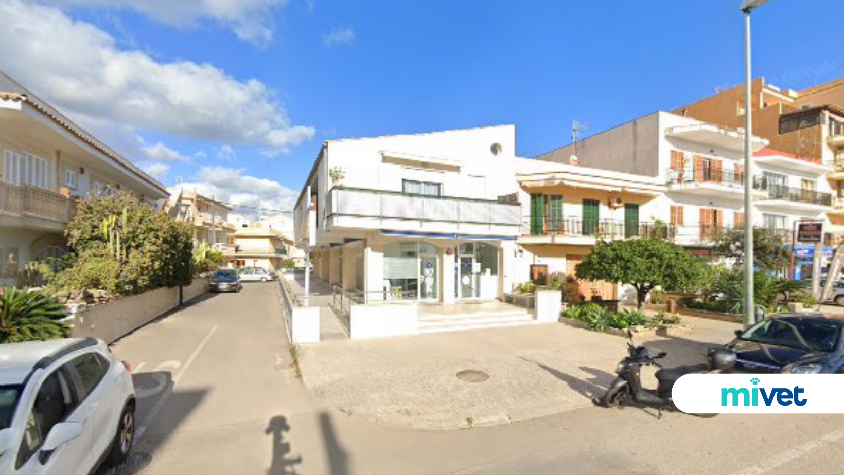 Clínica Veterinaria Alcúdia