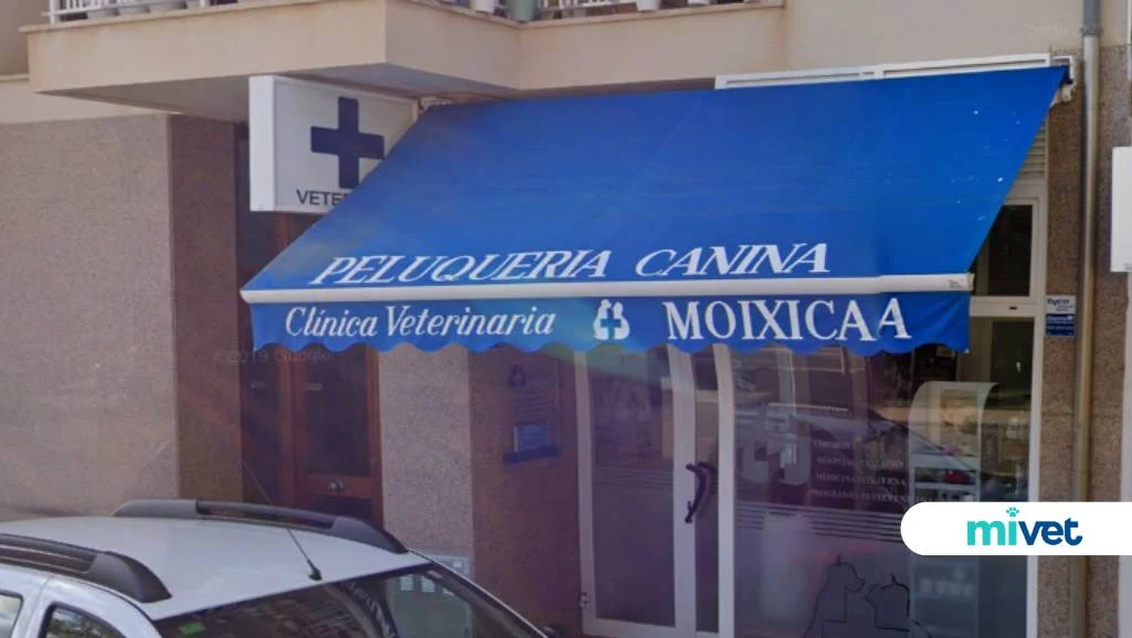 Clínica Veterinaria Moixica