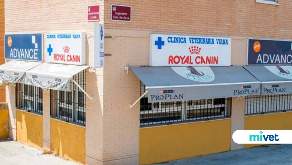 Clínica Veterinaria Viana