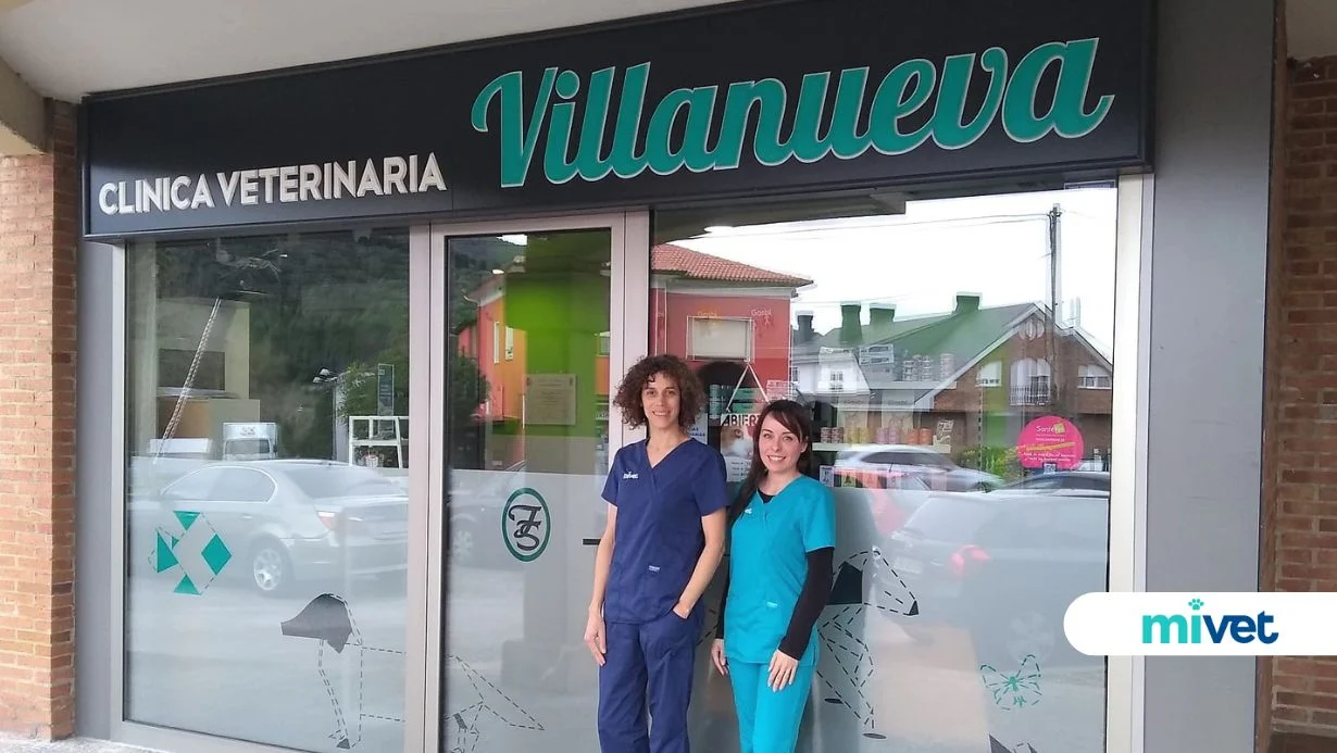 Clínica Veterinaria Villanueva
