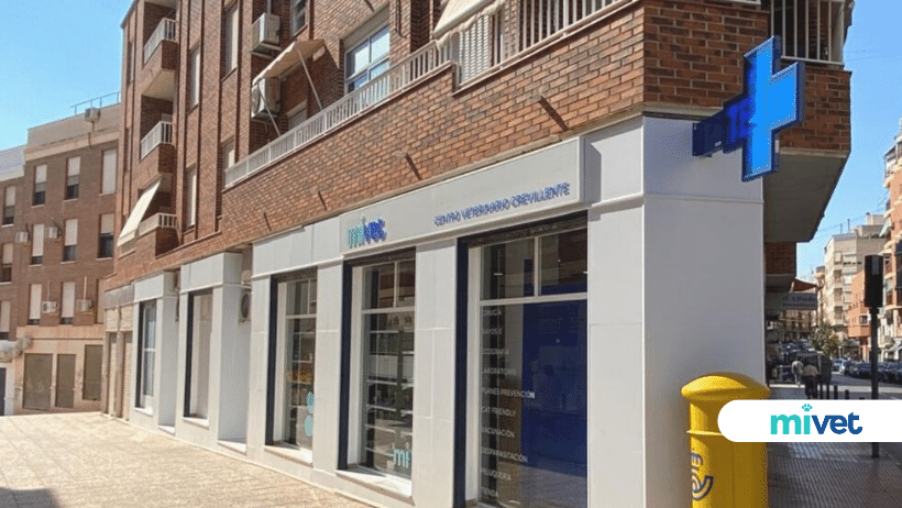 veterinarios en Crevillente