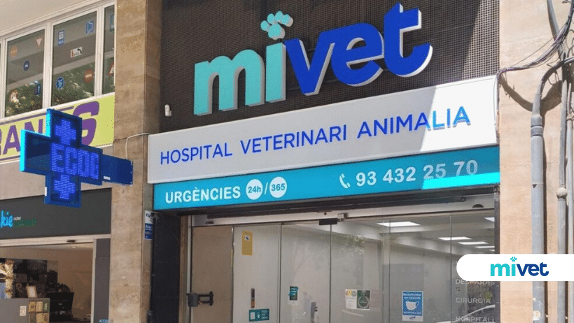 veterinarios 24h