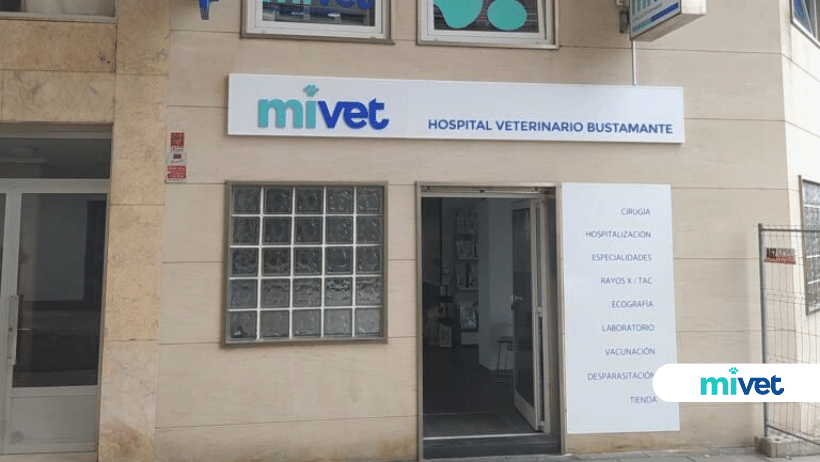 veterinario en Torrelavega
