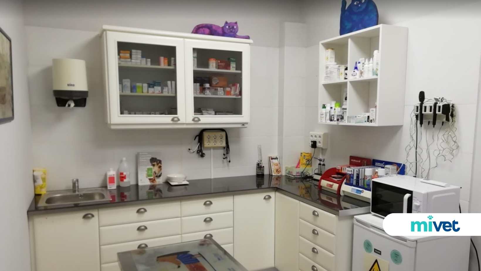 veterinarios Montuiri