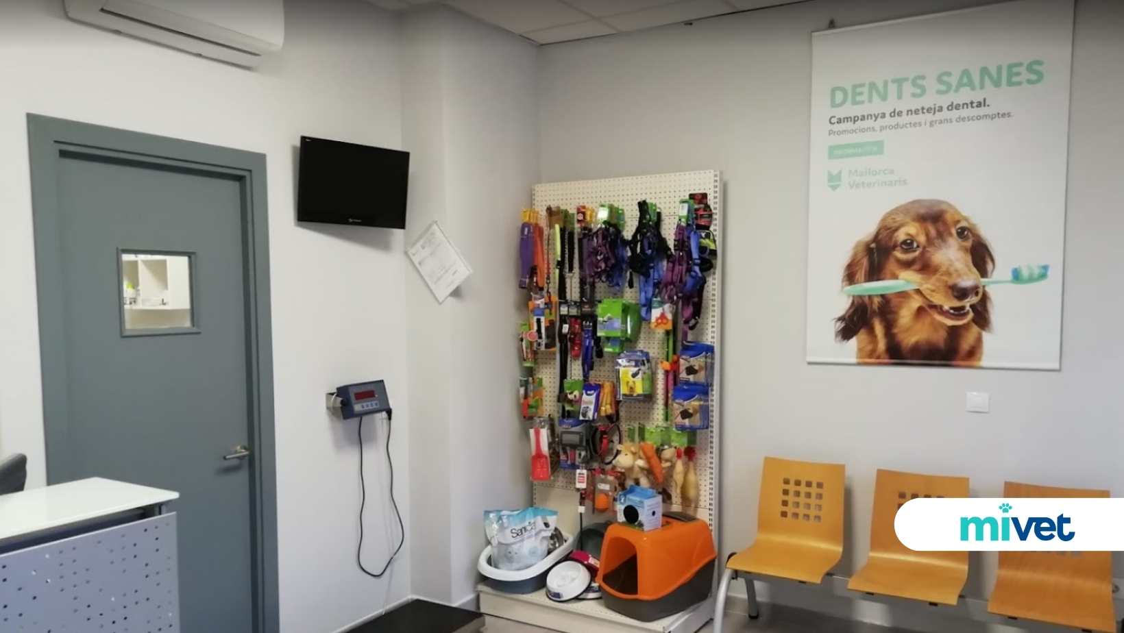 Clínica Veterinaria Montuïri