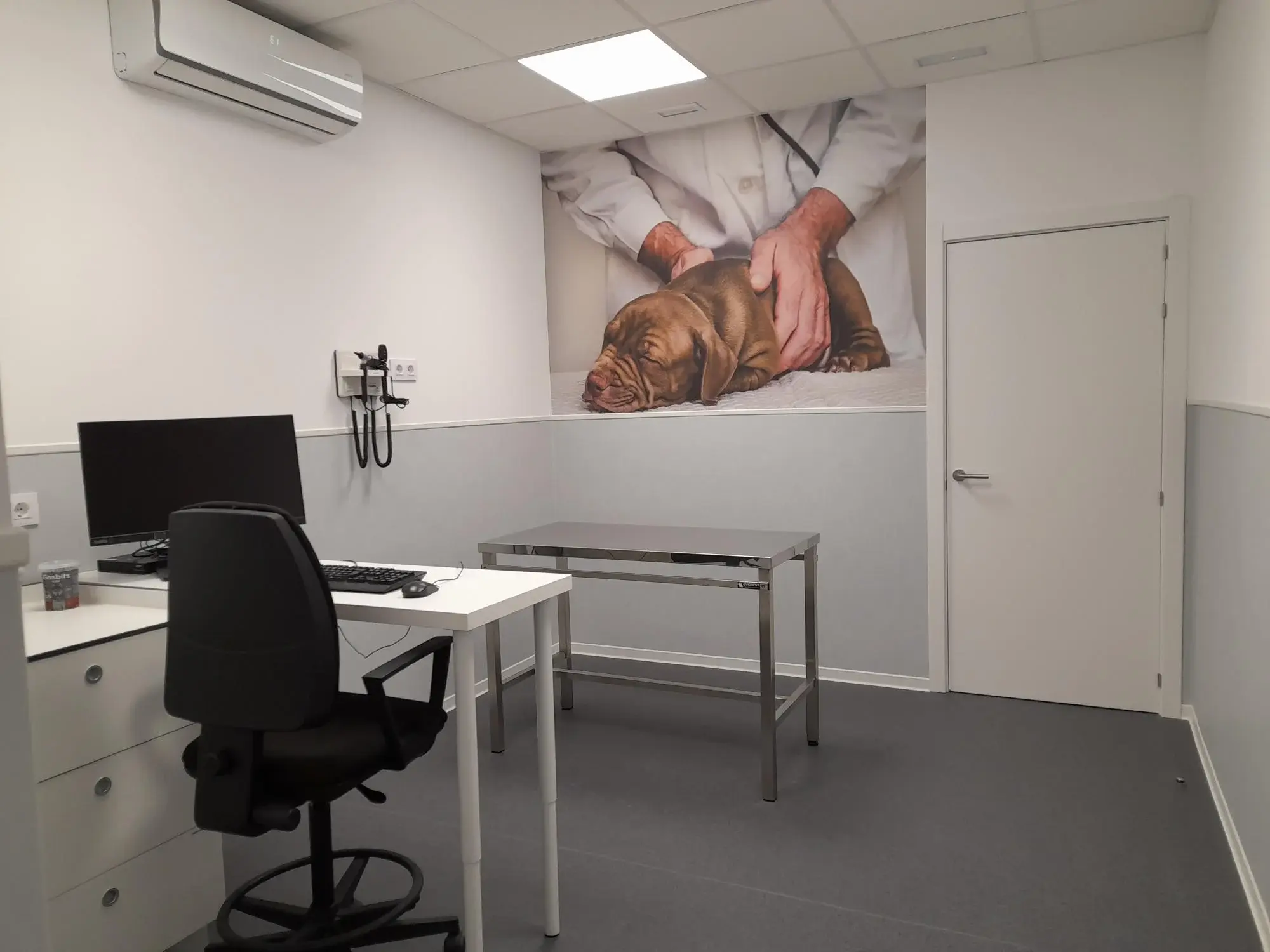 veterinario 24 horas en Manacor