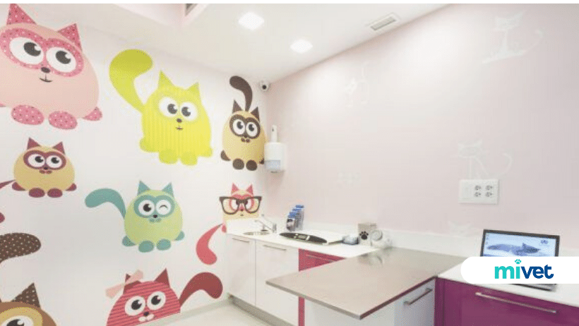veterinario en Llucmajor