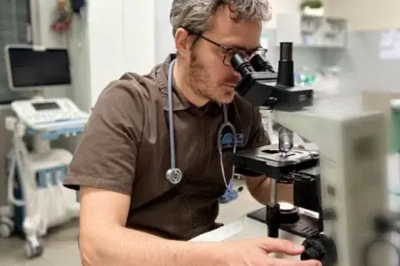 veterinarios valencia