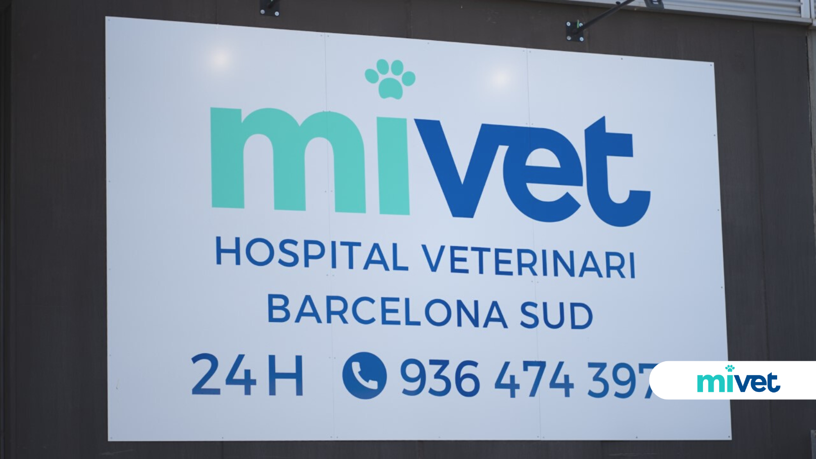 Hospital Veterinari Barcelona Sud