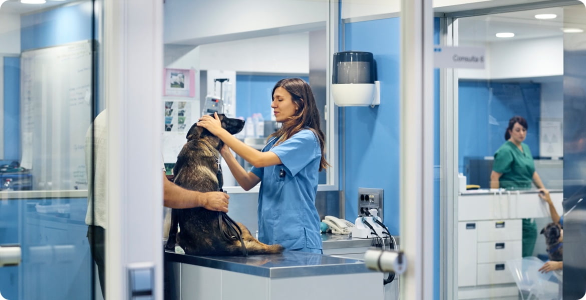 clínicas y hospitales veterinarios