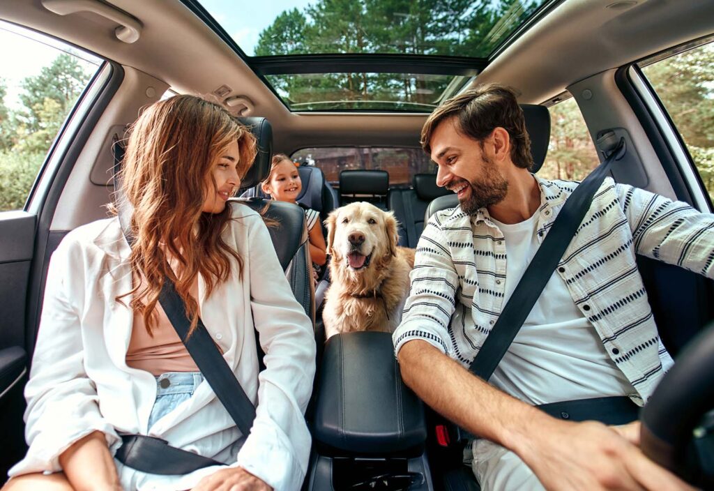 vacaciones con perro vacaciones con perro