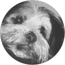 Xheii C R profile picture
