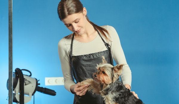 Estas son las peluquerías caninas que encontrarás en Torrelavega