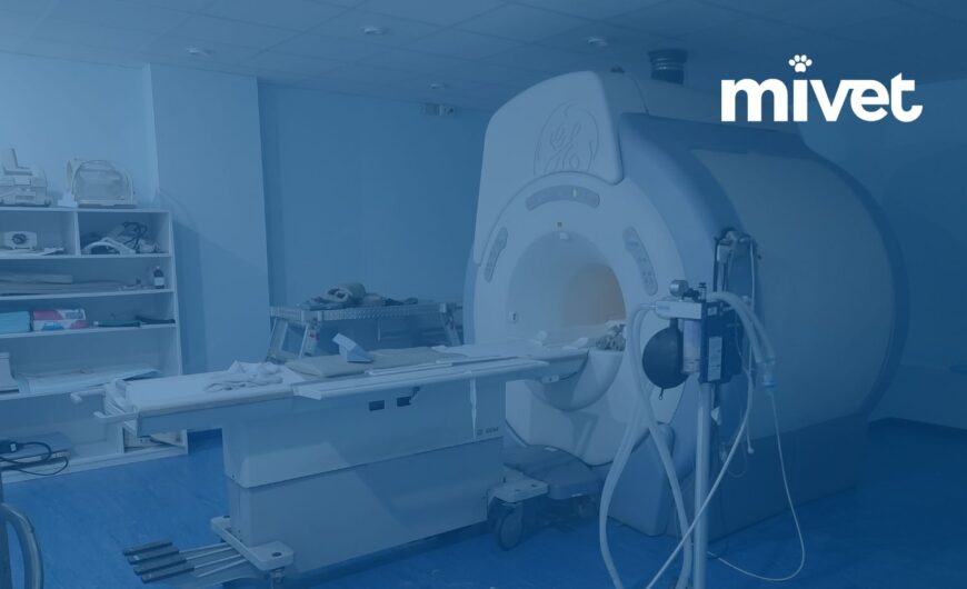 MiVet Hospital Veterinari Barcelona Sud se consolida como referente en neurología