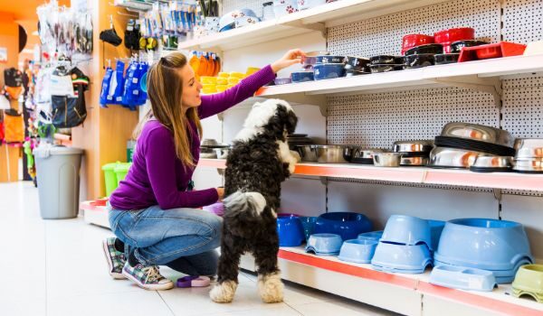 Estas son las mejores tiendas de animales en Barakaldo