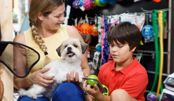 Estas son las mejores tiendas de animales en Córdoba: Lo mejor para tu mascota