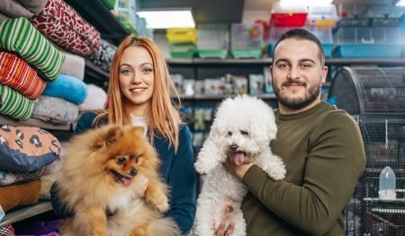 Descubre las Tiendas de Animales más Destacadas en Oviedo