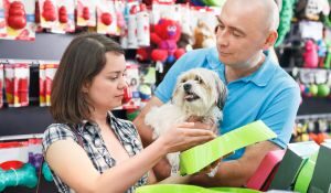 Descubre cuáles son las mejores tiendas de animales en Manresa