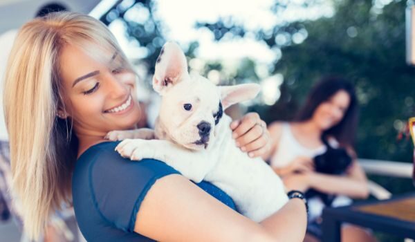 Restaurantes y cafeterías que admiten perros en Oviedo