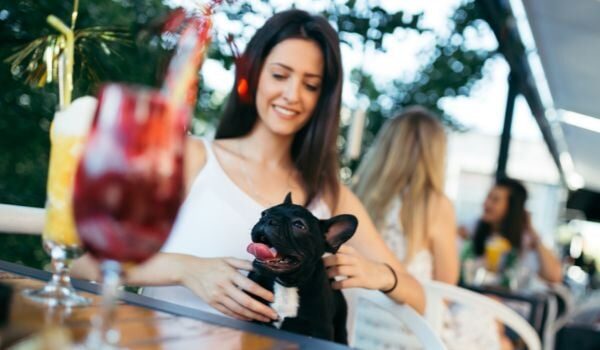 Estos son los mejores restaurantes y cafeterías dog friendly en A Coruña