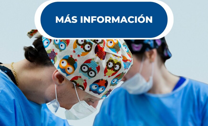Cirugías de gatos: todo lo que debes saber
