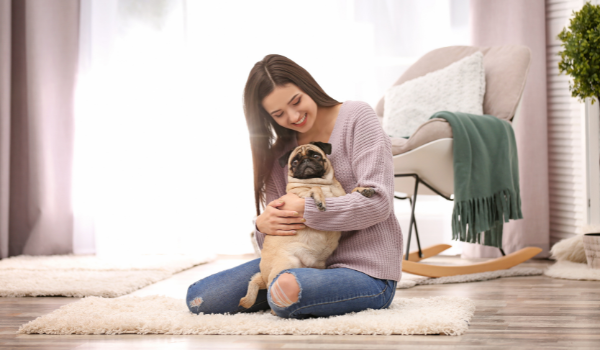 Te presentamos las mejores residencias caninas en Valencia