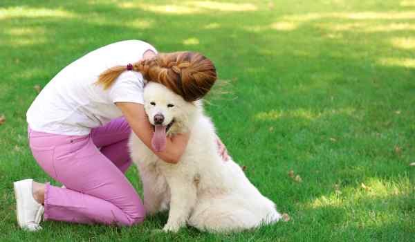 Parques para perros en Manacor