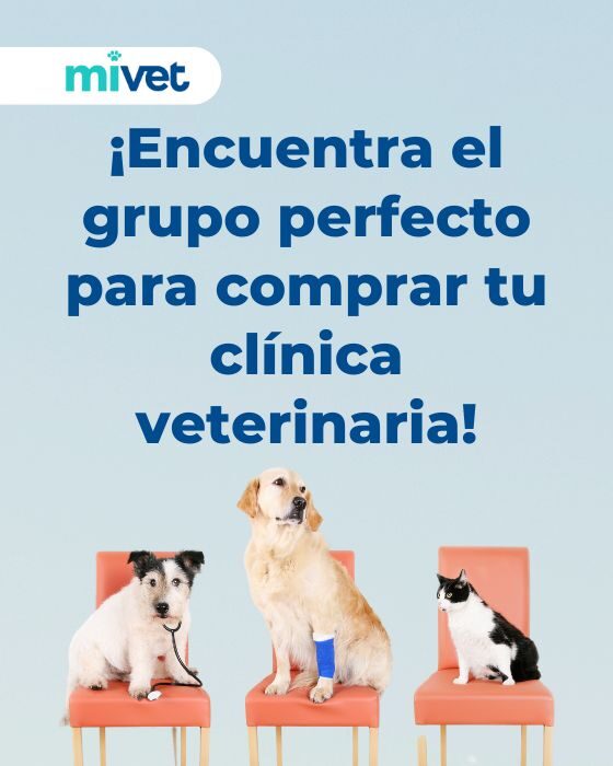 ¿Cómo encontrar un comprador para tu clínica veterinaria?