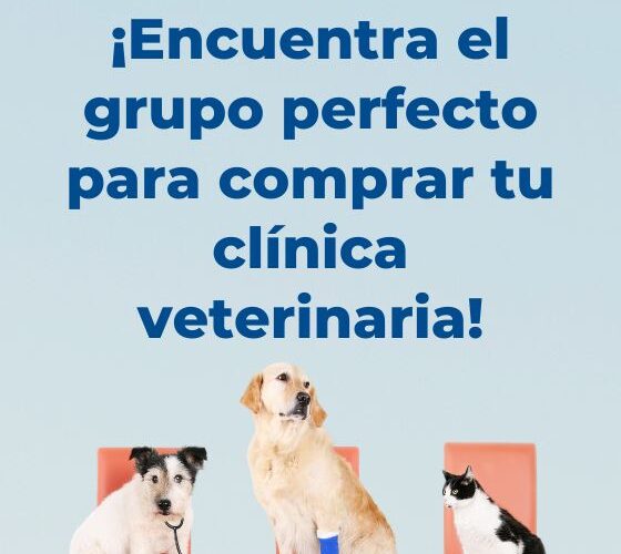 ¿Cómo encontrar un comprador para tu clínica veterinaria?