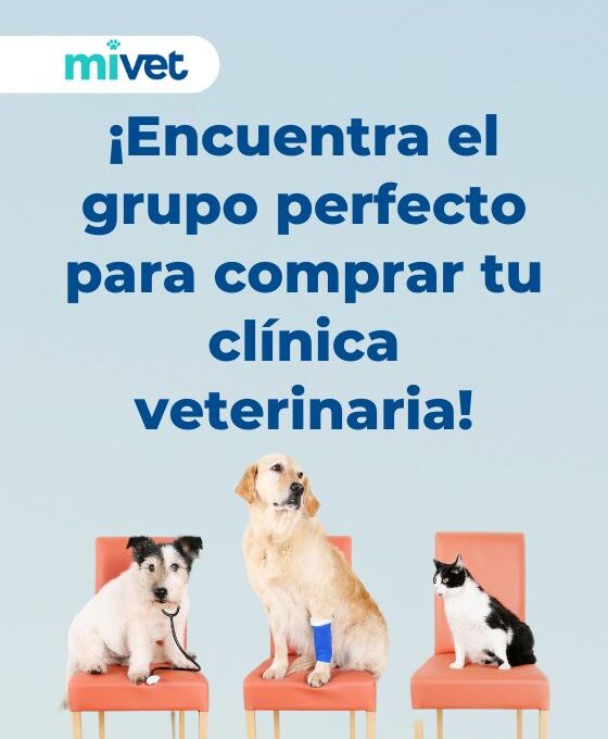 ¿Cómo encontrar un comprador para tu clínica veterinaria?