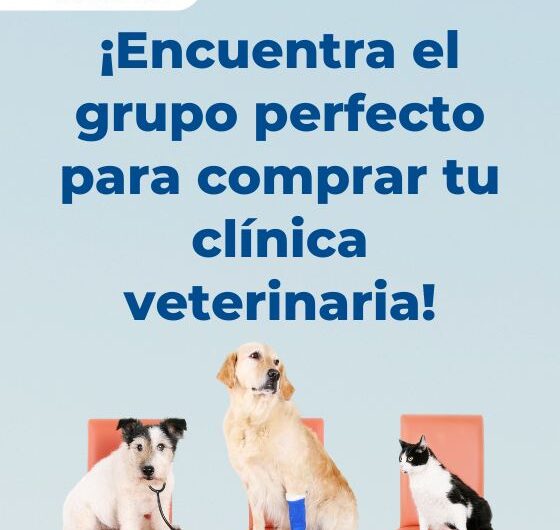 ¿Cómo encontrar un comprador para tu clínica veterinaria?