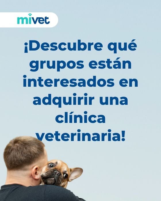 ¿Qué tipos de grupos pueden estar interesados en mi clínica veterinaria?