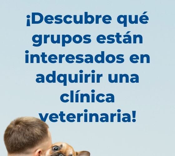 ¿Qué tipos de grupos pueden estar interesados en mi clínica veterinaria?