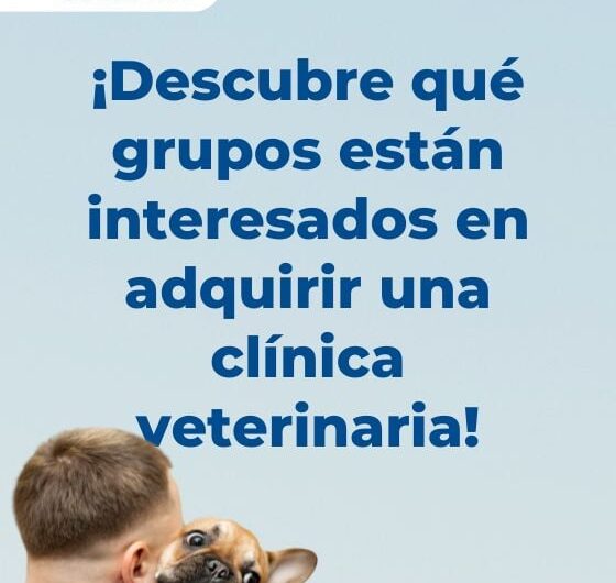 ¿Qué tipos de grupos pueden estar interesados en mi clínica veterinaria?