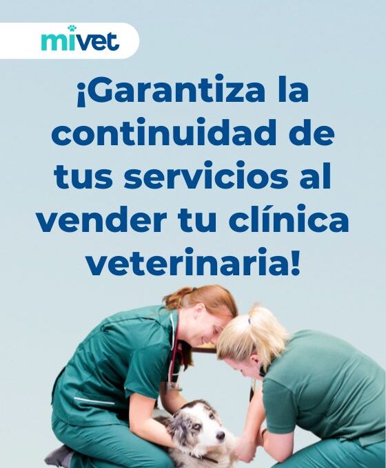 ¿Qué sucede una vez vendida mi clínica veterinaria?