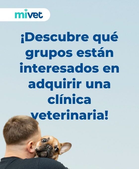 Consejos para encontrar el grupo adecuado para comprar tu clínica veterinaria