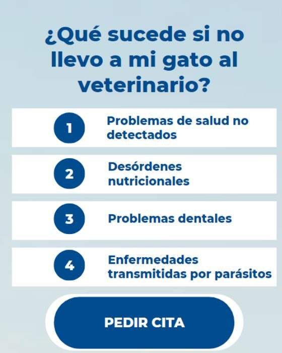 Riesgos de no llevar a tu gato al veterinario