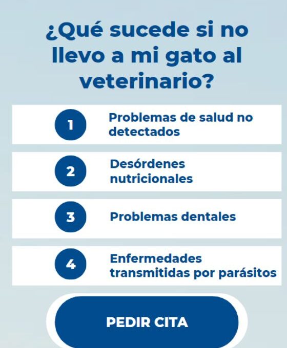 Riesgos de no llevar a tu gato al veterinario