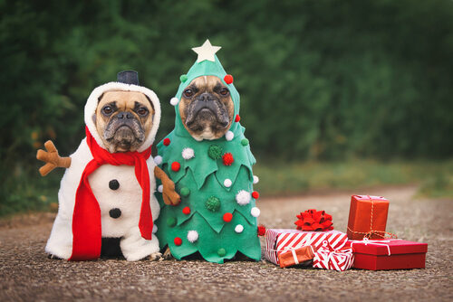 Disfraces de Navidad para perros