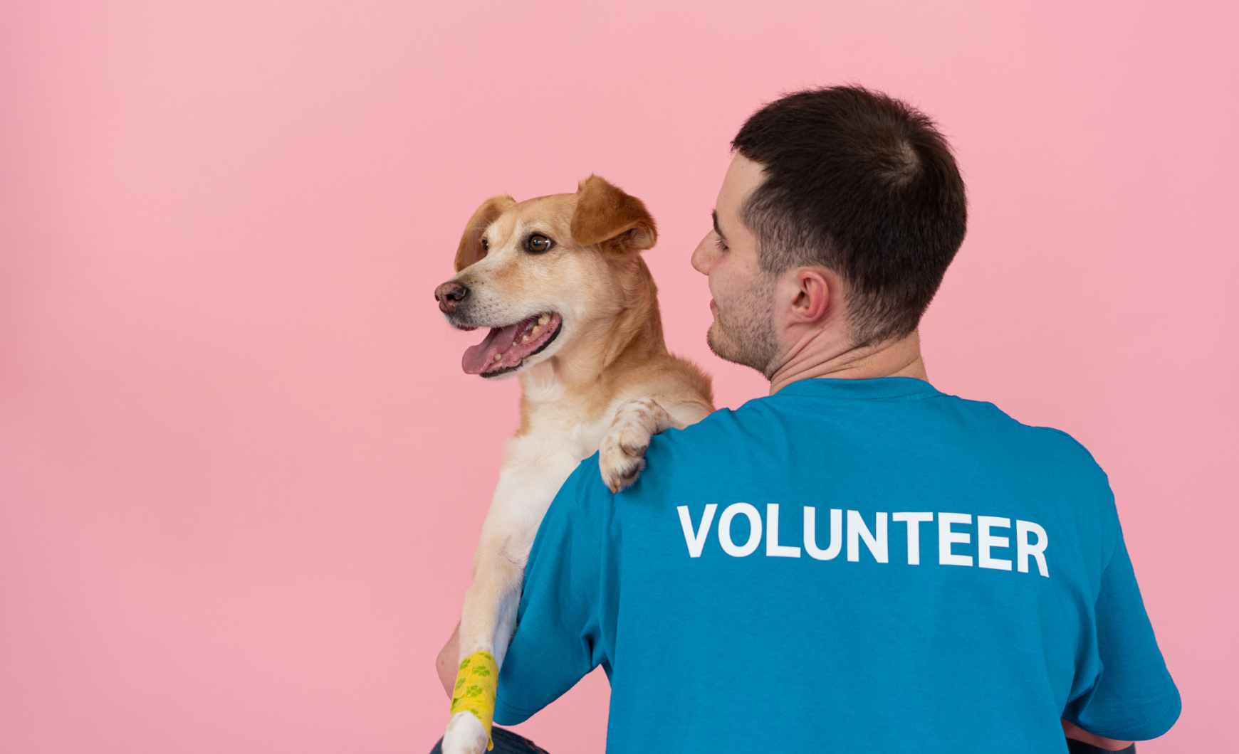 Voluntariado con animales en Barcelona: centros y requisitos