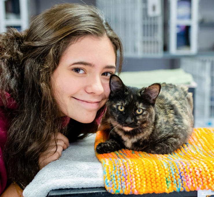 Cómo y dónde adoptar gatos en Murcia