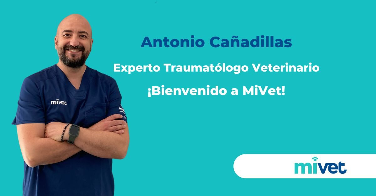 Bienvenido a MiVet Antonio Cañadillas, Experto Traumatólogo Veterinario